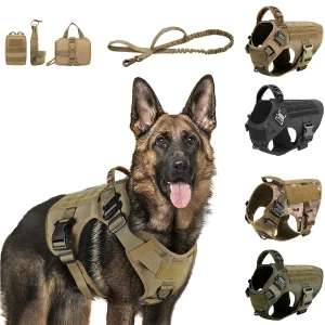 Dog Training Harness