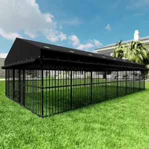 Outdoor Dog Kennel 10x20x6.5 FT