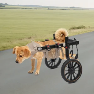 Pet Walking Aid Adjustable Dogs Wheelchairs